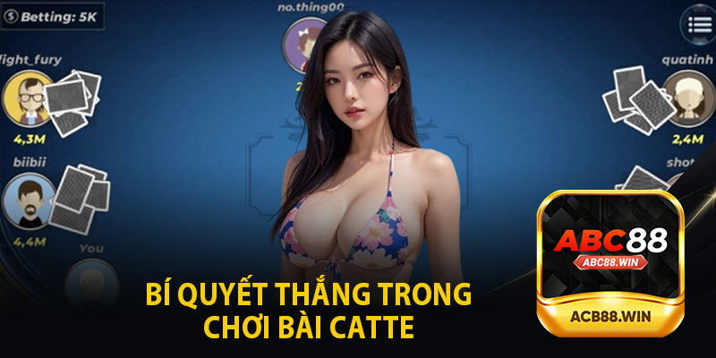 Bí Quyết Chiến Thắng Trong Chơi Bài Catte