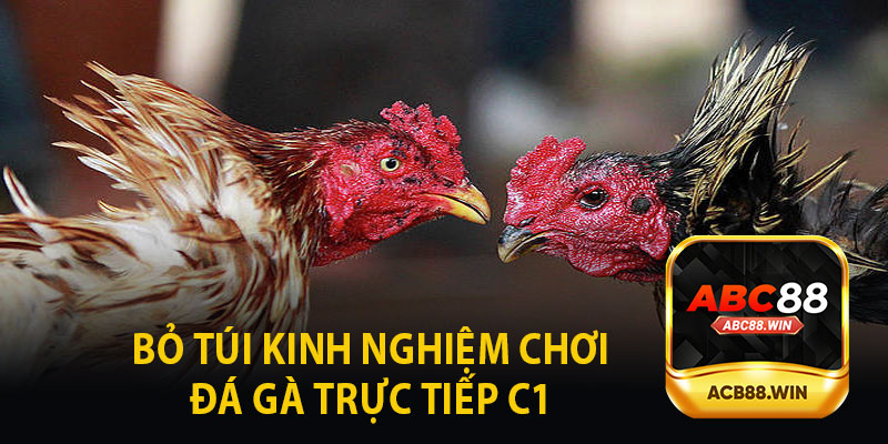 Bỏ Túi Kinh Nghiệm Đá Gà Trực Tiếp C1