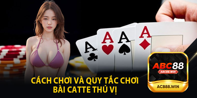 Cách Chơi Và Quy Tắc Chơi Bài Catte Thú Vị