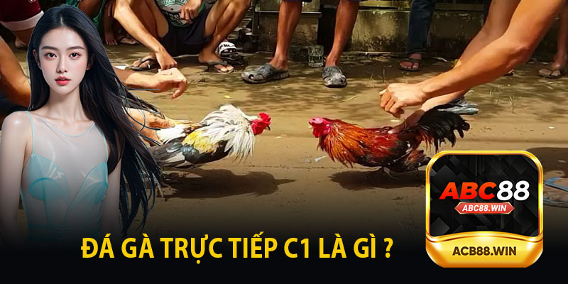 Đá Gà Trực Tiếp C1 Là Gì ?