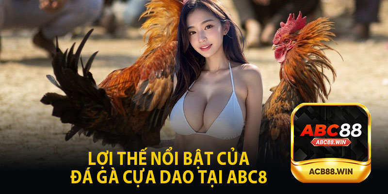 Lợi Thế Nổi Bật Của Đá Gà Cựa Dao