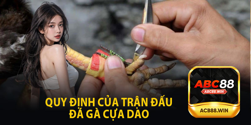 Quy Định Của Trận Đấu Đá Gà Cựa Dao